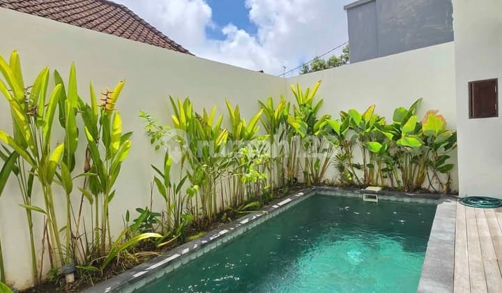 House With Private Pool In Jimbaran