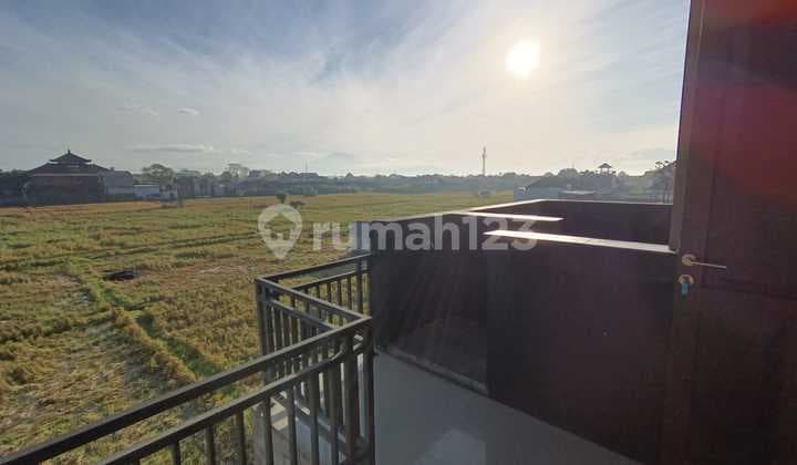 Rumah Cantik Kesiman dengan Pemandangan Sawah Dekat Sanur