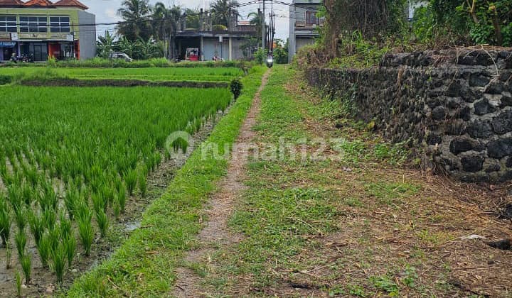 For Sale Tanah 1 Unit Kavling Langka Nyitdah -Pantai Kedungu Tabanan - Bali