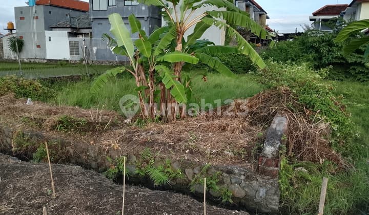 Land Near Renon, Tukad Badung