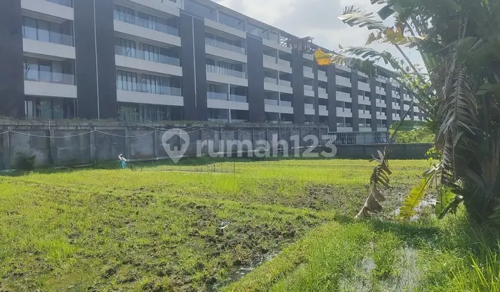 Prime 5 Are Land For Rent In Umalas Bumbak For 20 Years Lease