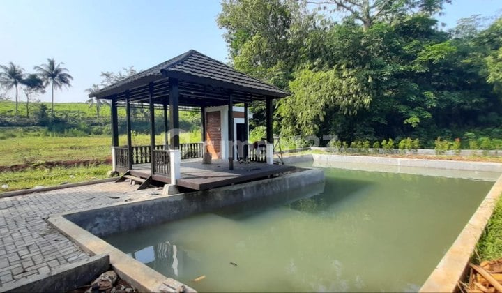Jual Kolam Ikan di Bogor SHM Bonus 10000 Bibit Lele + Gazebo