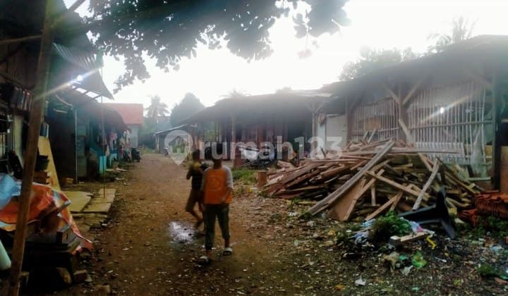 Jual Tanah Bogor Bonus Rumah Harga Di Bawah Njop di Tanah Sereal