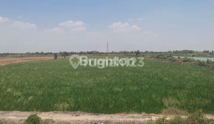 Tanah Nol Jalan Provinsi Banjarsari Cerme Gresik Dekat Pintu Tol