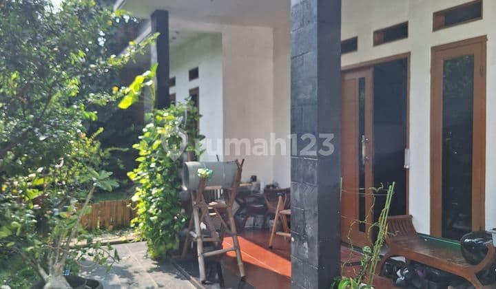 Rumah Luas, Asri, Dan Murah 2 Lantai di Cempaka Putih, Jakarta Pusat