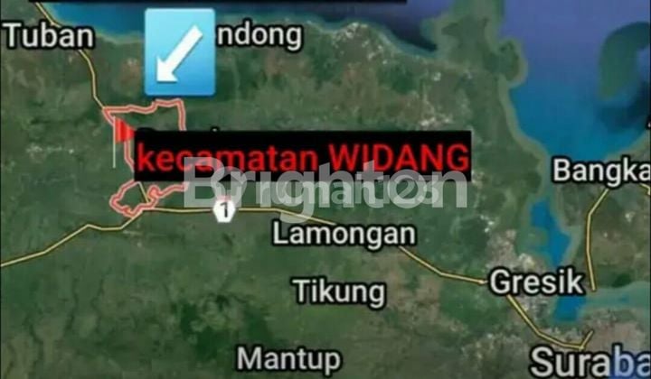 TANAH DI MRUTUK UTARA KEC.WIDANG TUBAN