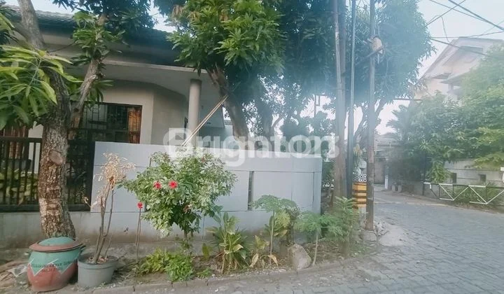 RUMAH HOOK DI WISMA GUNUNG ANYAR SURABAYA RUMAH HOOK DI WISMA GUNUNG ANYAR SURABAYA