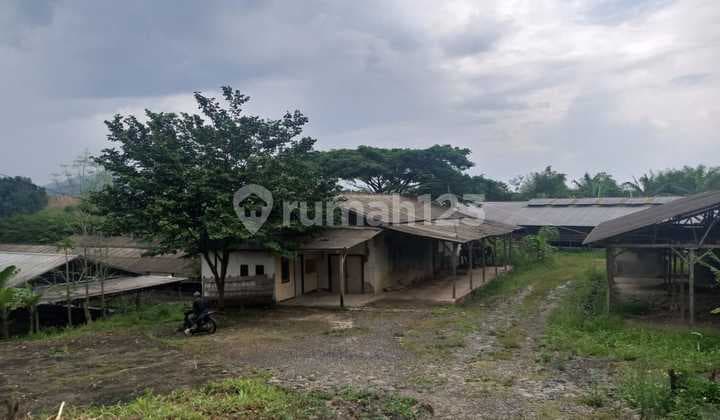 For Sale Land Plot Puncak 2 Line Ciherang Hill Bogor
