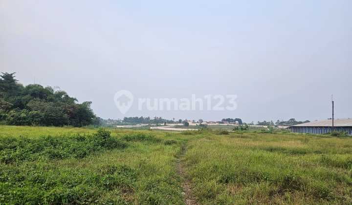 Tanah Cocok untuk Gudang dan Pabrik di Jalan Raya Cikande, Rangkasbitung, Banten