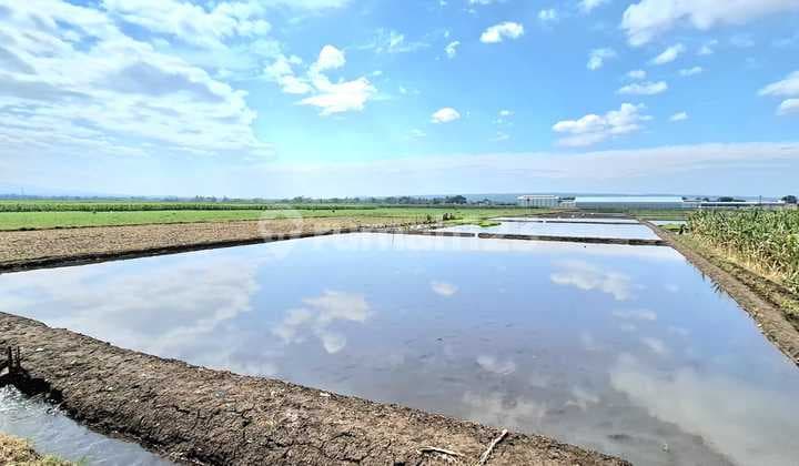 Dijual Tanah Luas 4310 di Bunutwetan Pakis Malang Depan Pintu Tol