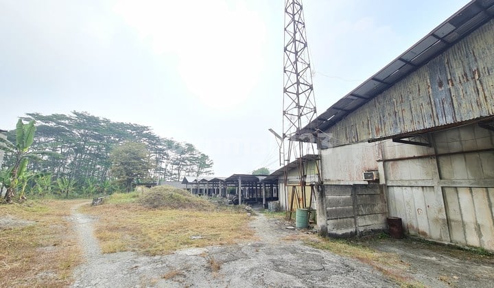 Jual Murah Cepat Kavling Industri Pergudangan Cikande Banten Rangkasbitung