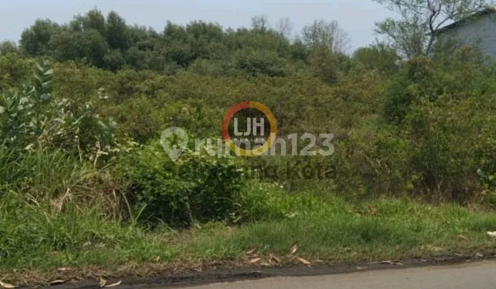 Kavling Di Kaliwungu Kavling Di Kaliwungu