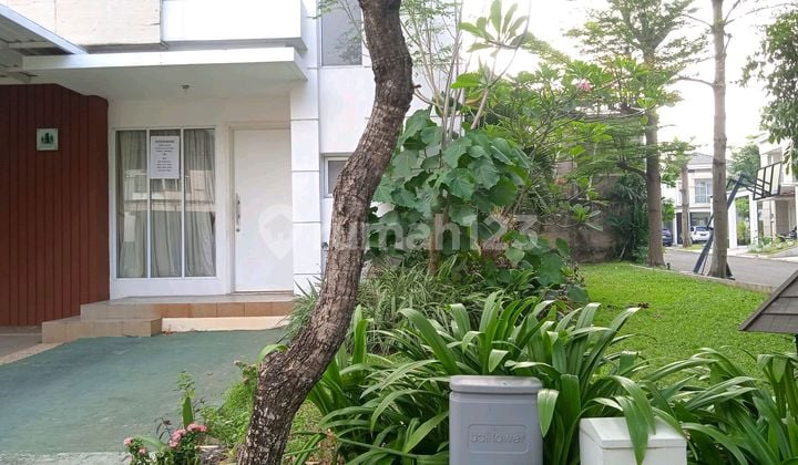 Rumah Cantik.. Hunian Yang Tenang Nyaman Dan Jauh Dari Kebisingan