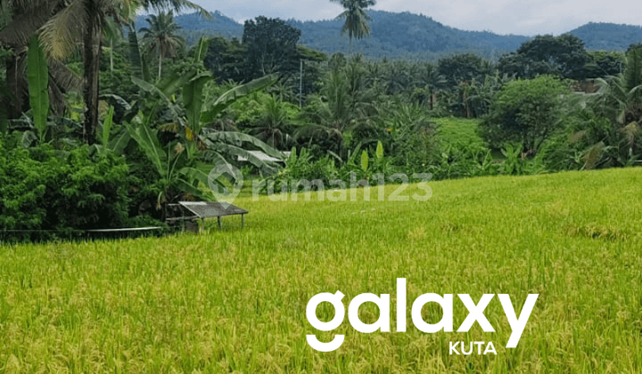 Dijual Tanah View Sawah di Mudeh Selemadeg Tabanan - Bali