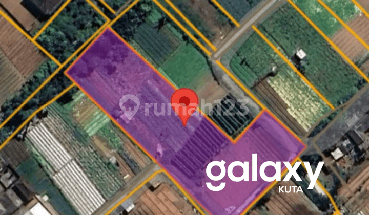 LAND FOR SALE IN BEDUGUL, TABANAN - BALI