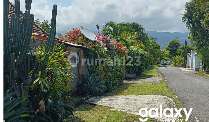 Dijual Rumah Dan Tanah Dekat Lovina Buleleng, Bali