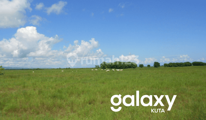 DIJUAL TANAH SIAP BANGUN DI MAMBORO SUMBA TENGAH -NTT