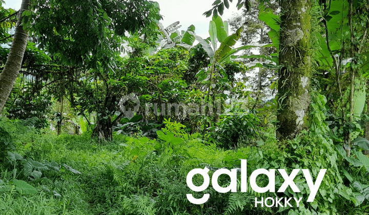 For Sale Beautiful Mountain View Land in Jatiluwih, Penebel, Tabanan - Bali