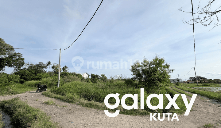 Leasehold Tanah Cemagi Dekat Pantai Seseh Mengwi Badung - Bali