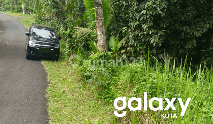 Dijual Tanah Agrowisata View Gunung Cantik di Mudeh Selemadeg Tabanan - Bali