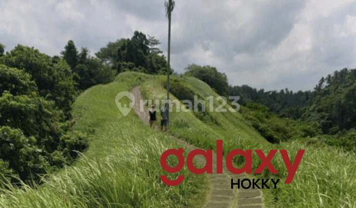 Dijual Tanah Premium di Ubud Dekat Bukit Cinta Gianyar - Bali