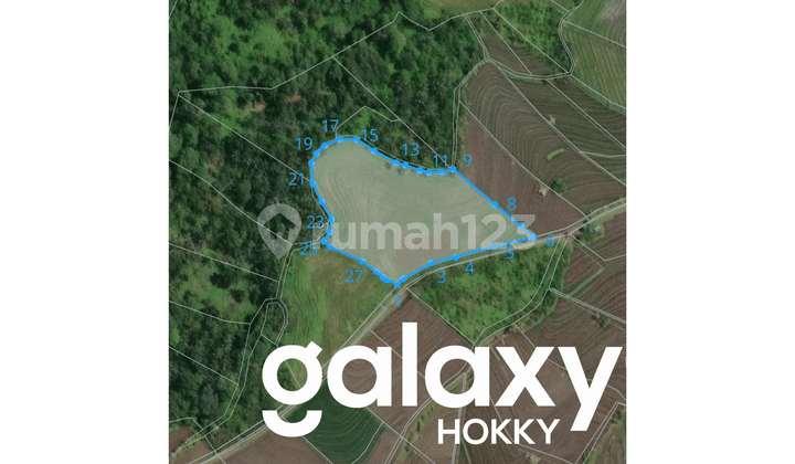 Dijual Tanah Strategis Raya Denpasar Gilimanuk Jalan Provinsi di Selemadeg Tabanan - Bali