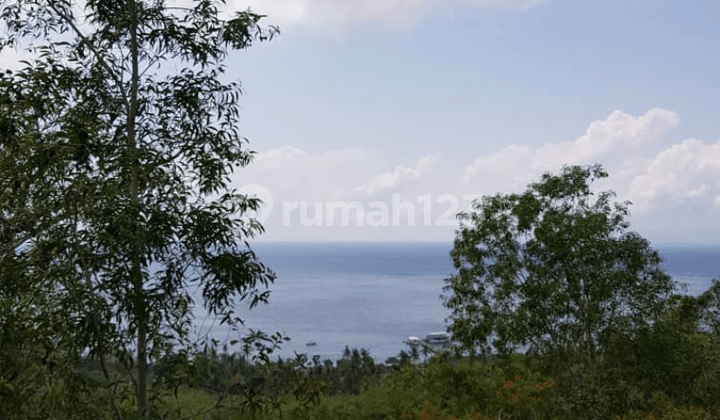 Land with Ocean View for Sale in Suana Nusa Penida Klungkung - Bali