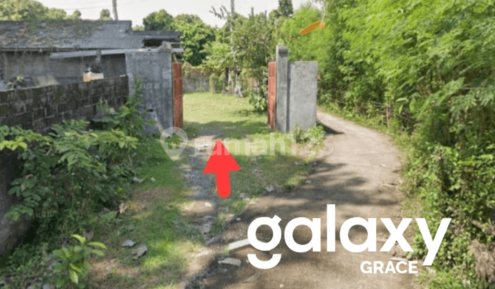 For Sale Beach Plot Los Pantai Grogak Buleleng Singaraja - Bali