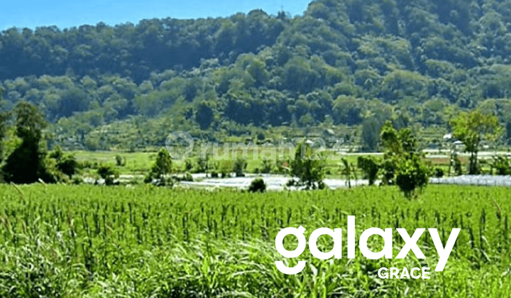Dijual Tanah Datar View Danau Buyan Pancasari Singaraja Buleleng - Bali