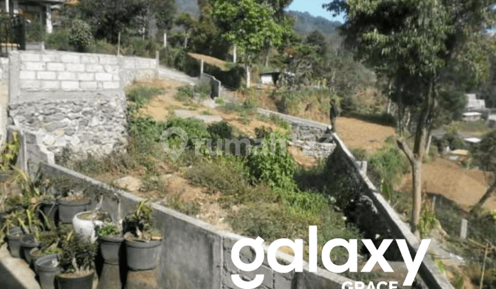 Dijual Tanah Full View Danau Beratan Candikuning Baturiti Tabanan - Bali