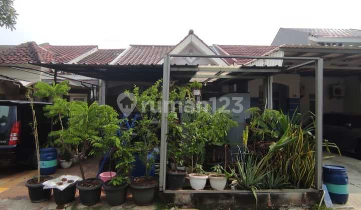 Sell Fast Comfortable 1-Story House in the Most Popular Cluster of Alam Sutera Tangerang
