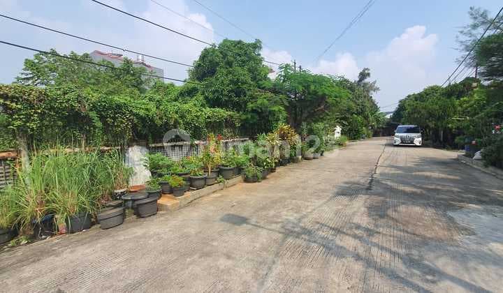 Kavling pluit hadap utara