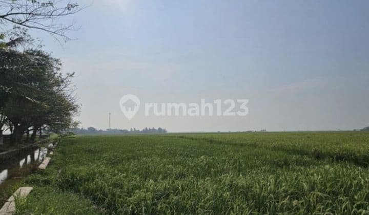 Plot on Tangerang Industrial Main Road