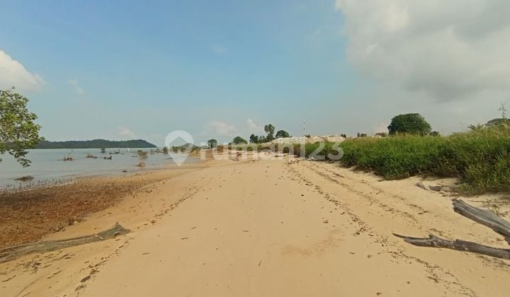 For Sale 5.5 Hectares Land Location Sitokok Bridge 3 Barelang Batam