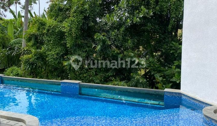 Exclusive 3 Bedroom Villa With Best View In Canggu Area