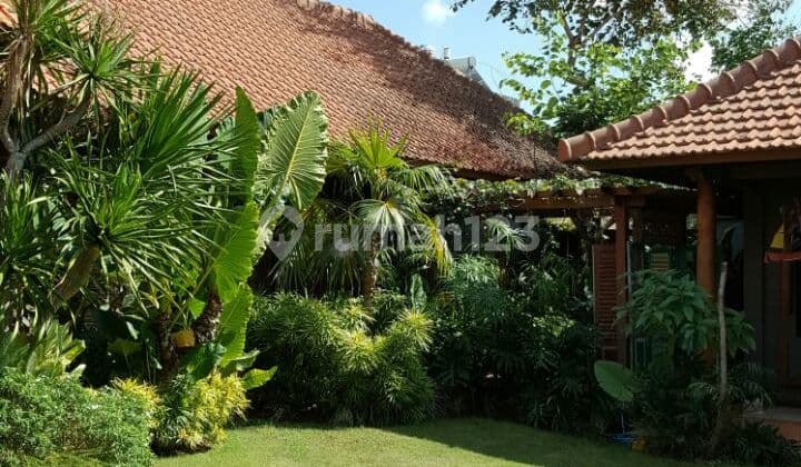 Spacious And Full Of Greenery 5 Bedroom Villa In Umalas
