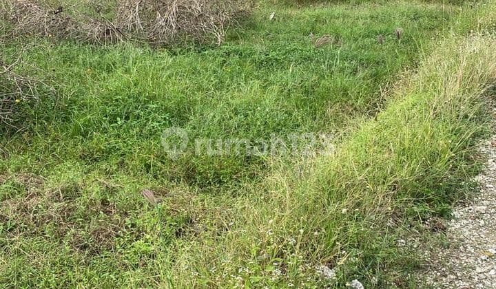 Tanah di Tabanan Zona Pink Cocok untuk Villa