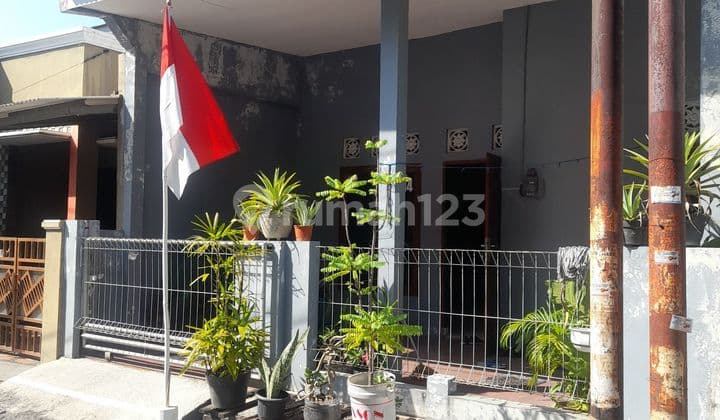 Rumah Bagus Murah di Semarang Timur