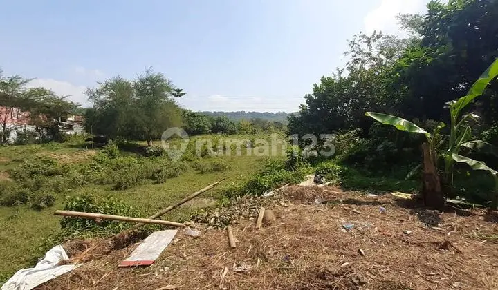 Tanah Mateseh Tembalang Mangunharjo Dekat Undip Tembalang