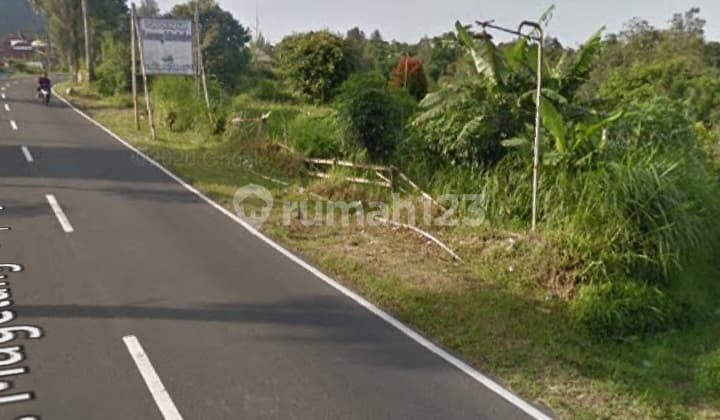 Tanah Kopeng Dekat Salatiga Raya Magelang Murah