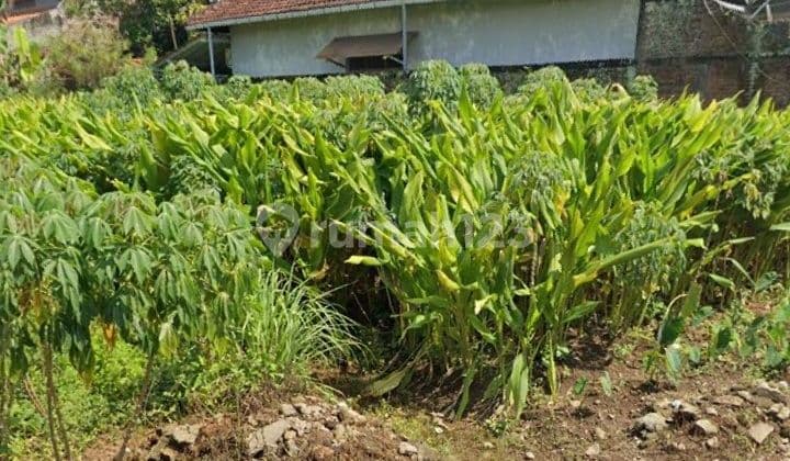 Tanah Tembalang Mulawarman Strategis Dekat Tembalang Undip