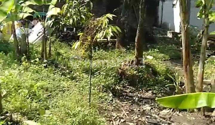 Tanah Tembalang Bulusan Utara Ring 1 Undip