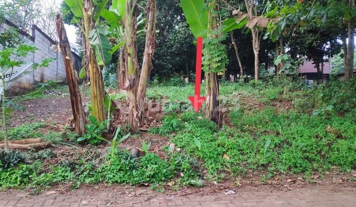 Tembalang Bulusan Utara Ring 1 Undip Campus Land