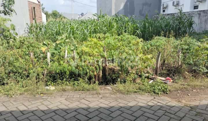 Tanah Tembalang Bulusan Dekat Kampus Undip Tembalang
