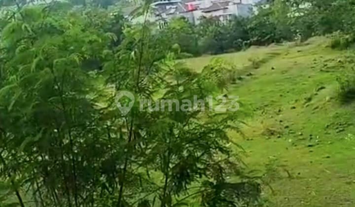 Tanah Tembalang Jangli Burangrang Dekat Undip Tembalang
