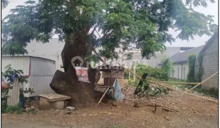 Tanah Tembalang Bulusan Utara Ring 1 Undip Tembalang