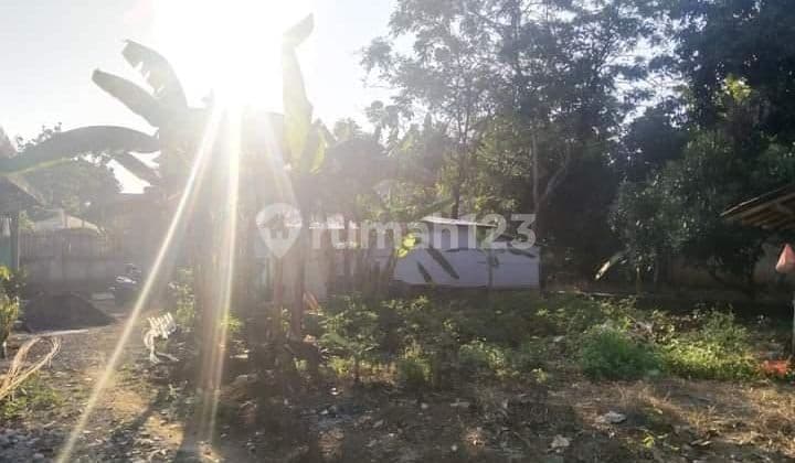 Tanah Tembalang Bulusan Dekat Undip Tembalang