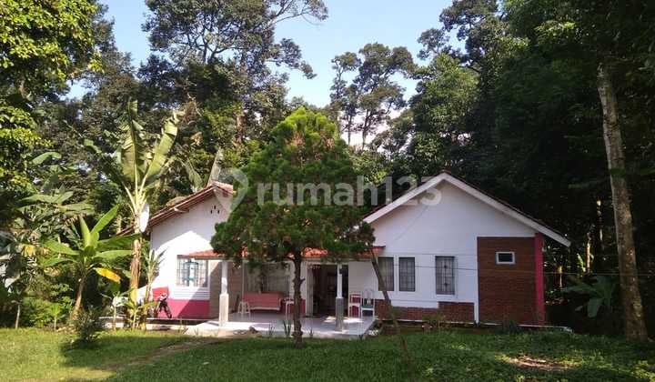 Jual Rumah hitung tanah di Caringin Bogor Samping Tol Bocimi Lt 1000m2