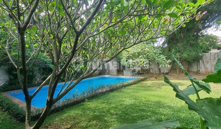 One-Story House In Kemang Very Beautiful Private Pool Big Garden