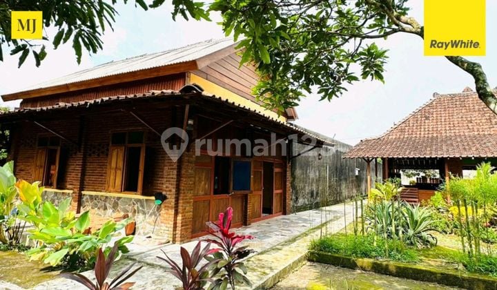For Sale Joglo Teak House Near Akmil Magelang